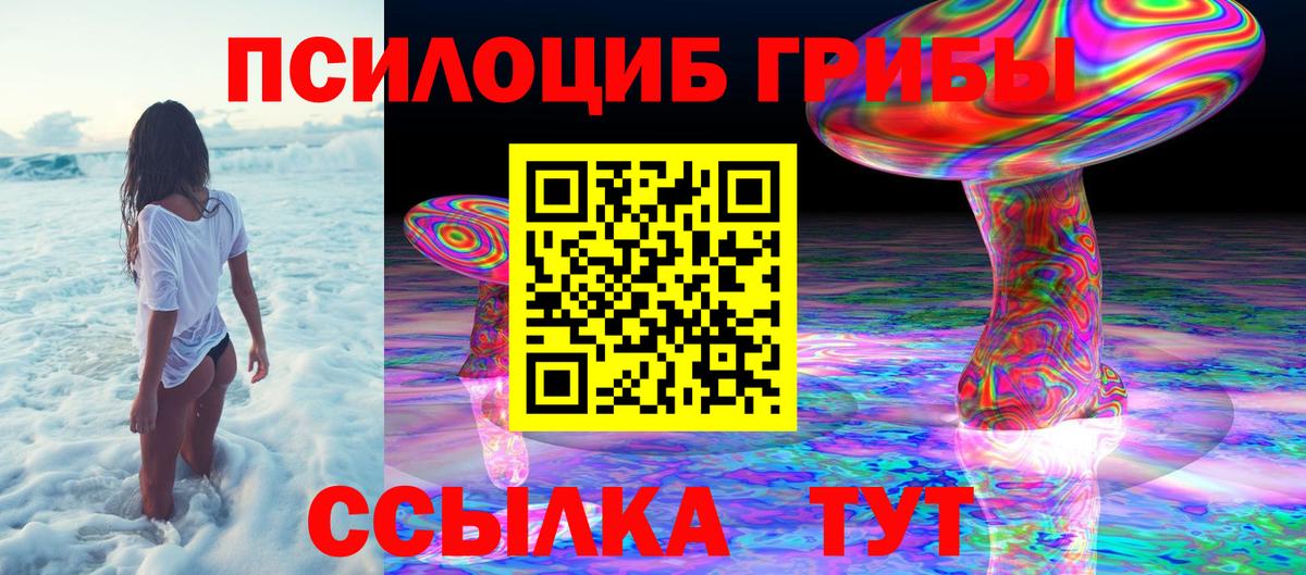 Галлюциногенные грибы Psilocybine cubensis Туймазы