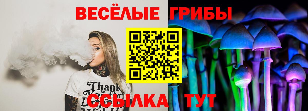 Туймазы  Псилоцибиновые грибы ЛСД  Галлюциногенные грибы мицелий  Вход с VPN 